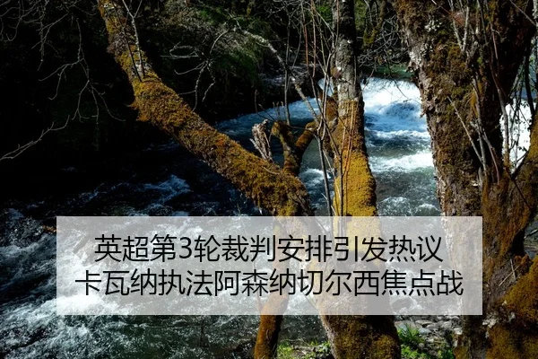 英超第3轮裁判安排引发热议 卡瓦纳执法阿森纳切尔西焦点战